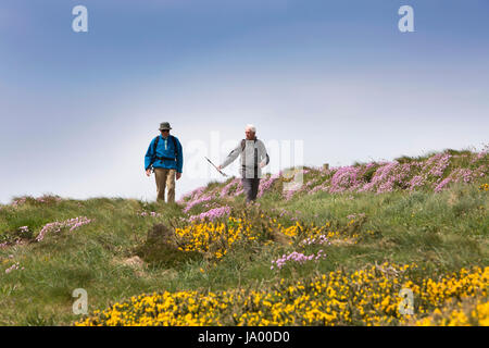 Royaume-uni, Pays de Galles, Pembrokeshire, Solva, deux hommes marchant sur le chemin de la côte du Pays de Galles à Craig Friw Banque D'Images