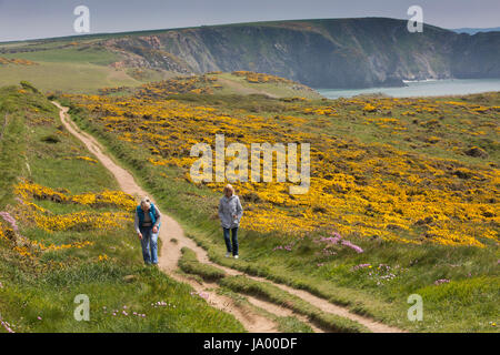 Royaume-uni, Pays de Galles, Pembrokeshire, Solva, deux femmes marchant sur Wales Coast Path à Craig Friw Banque D'Images