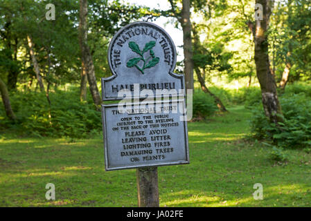 National Trust signe pour Hale Purlieu, New Forest, Hampshire, Angleterre, Royaume-Uni Banque D'Images