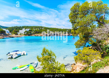 Green pine tree on cliff rock donnant sur la magnifique baie de Cala Portinatx avec planches et canot bateaux sur la mer d'azur de l'eau, l'île d'Ibiza, Espagne Banque D'Images