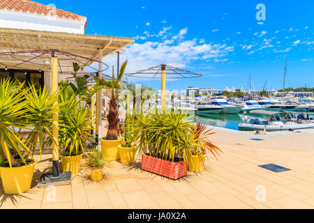 Café décoré de plantes tropicales dans la région de Santa Eularia navigation de plaisance sur l'île d'Ibiza, Espagne Banque D'Images