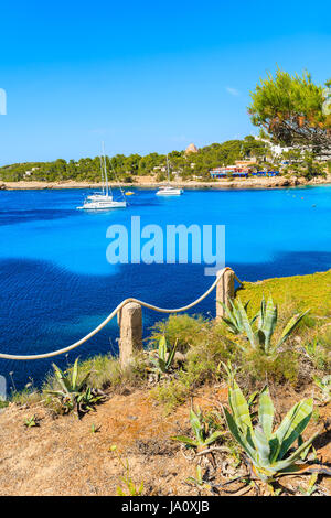 Bateaux à voile bleu sur l'eau de mer dans la baie de Cala Portinatx agave avec en premier plan les plantes croissant sur les rochers falaise côtière, l'île d'Ibiza, Espagne Banque D'Images