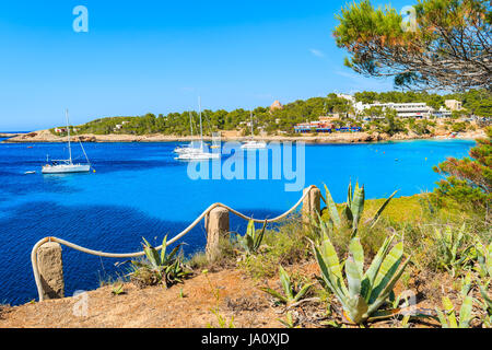 Bateaux à voile bleu sur l'eau de mer dans la baie de Cala Portinatx avec plantes d'agave dans foregroung croissant sur les rochers falaise côtière, l'île d'Ibiza, Espagne Banque D'Images