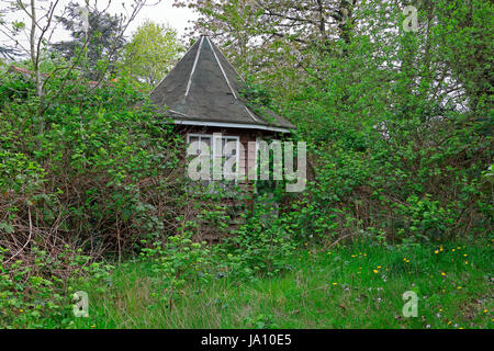 Petit Gazebo dans un jardin peu à peu succomber à la nature comme les mauvaises herbes et l'herbe croît dans le feuillage plus dilapidate et gazebo. Banque D'Images