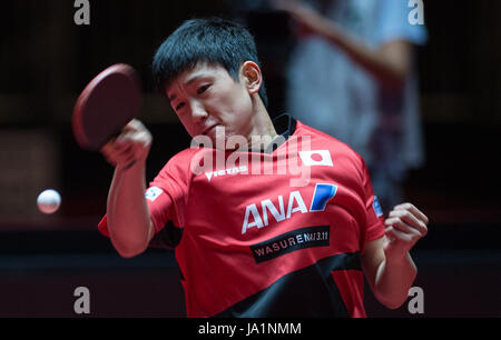 Düsseldorf, Allemagne. 4 juin, 2017. Tomokazu Harimoto (Japon) jouant Xu (Chine) dans le quart de finale du tournoi de tennis de table au Championnat du monde à Duesseldorf, Allemagne, 4 juin 2017. Photo : Jonas Güttler/dpa/Alamy Live News Banque D'Images