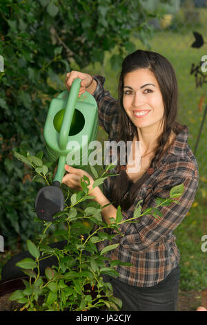 Femme prend soin de son semis Arrosage Les plantes avec soin Banque D'Images
