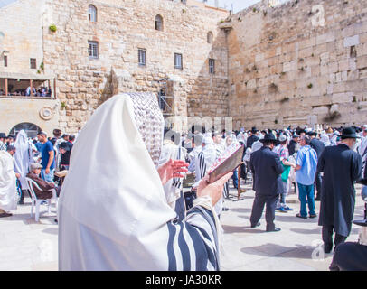 Les hommes juifs orthodoxes prie dans le mur occidental au cours de la Pâque à Jérusalem Banque D'Images