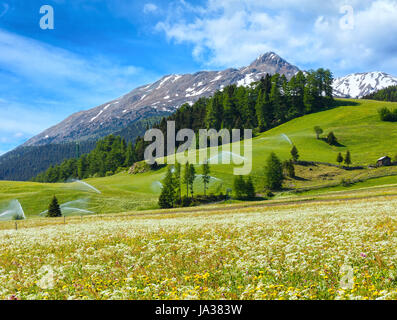 Jets d'eau d'irrigation en été montagne Alpes (Italie). Ciel bleu avec quelques nuages. Banque D'Images