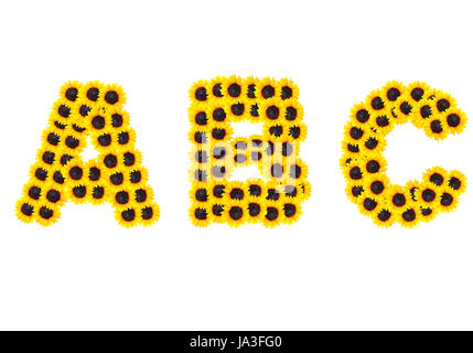 Lettre alphabet ABC avec le tournesol. Banque D'Images