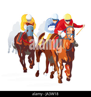 Sport, sports, randonnée, cheval, animal, élégance, mammifères, vue avant, événement, Banque D'Images