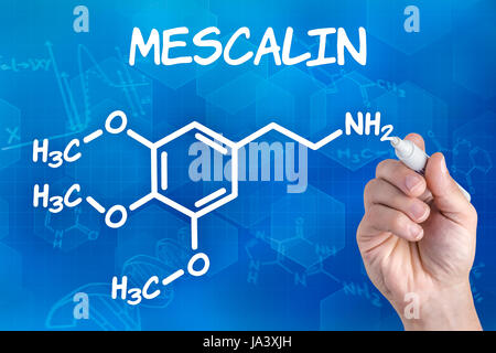 Avec un crayon à la main tire de la mescaline chimique formule structurelle Banque D'Images