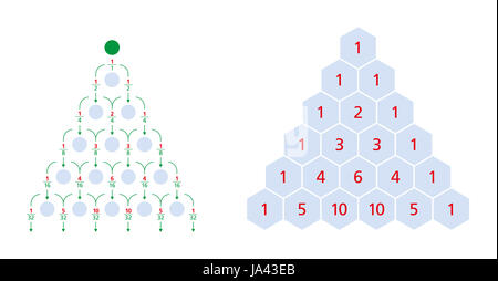 Galton a une distribution normale et Pascal's triangle, une matrice triangulaire des coefficients binomiaux. Machine Bean, Galton fort, quinquonce. Banque D'Images