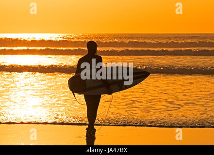 Un internaute entre dans la mer et coucher du soleil à la plage de fistral, Newquay, Cornwall, Angleterre, Royaume-Uni. Banque D'Images