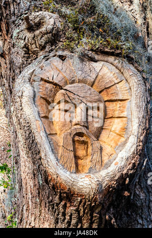 L'Esprit Saint Simons Island Tree, Gascoigne Bluff, St Simons Island, Géorgie Banque D'Images