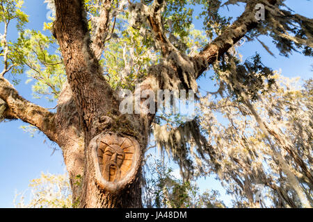 L'Esprit Saint Simons Island Tree, Gascoigne Bluff, St Simons Island, Géorgie Banque D'Images