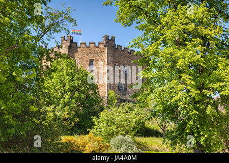 Le vieux donjon du château de Durham, qui fait maintenant partie de l'Université de Durham, entouré d'arbres en pleine page. Banque D'Images