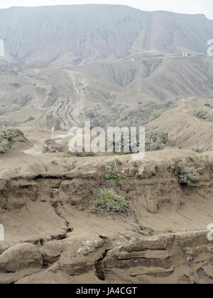 Paysage autour de Parc National de Bromo Tengger Semeru à Java, une île de l'Indonésie Banque D'Images