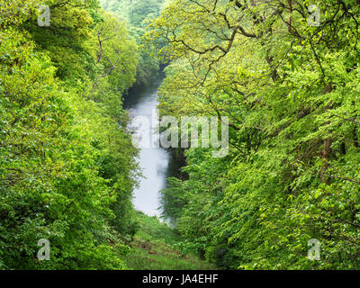 Vue sur la rivière Wharfe de Harrison's Ford siège en bois de la SRCFA à Bolton Abbey North Yorkshire Angleterre Banque D'Images