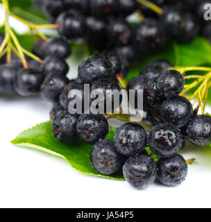 Vitamin, doucement, arbre, vert, l'agriculture, de l'agriculture, mûr, froid, catarrhe, Banque D'Images