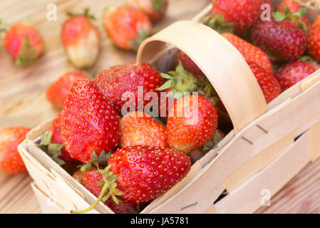 Fraises biologiques dans le panier en bois Banque D'Images