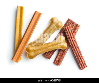 Chien de mâcher les os et bois isolé sur fond blanc. Banque D'Images