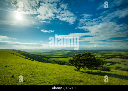 Après-midi de printemps dans le parc national des South Downs, East Sussex, Angleterre. Banque D'Images