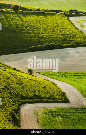 Après-midi de printemps dans le parc national des South Downs, East Sussex, Angleterre. Banque D'Images