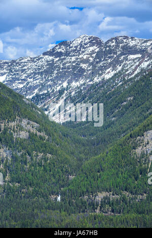 Partie supérieure du bassin du ruisseau morrell et morrell tombe dans la gamme swan de Lolo National forêt près de seeley lake, Montana Banque D'Images