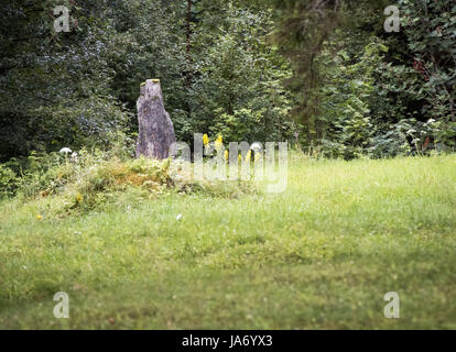 8 août 2017 - Afjord, Nord-trondelag (Norvège) - Le Dragsseidet cemetery est le plus grand exemple de l'ère viking en Norvège de sépulture intacte avec bautas ou pierres tombales. Composée à l'origine d'environ 60 à 40 sépultures restent intacts après compensation plus moderne pour la culture, du logement et de décomposition naturelle. Le cimetière de Dragseidaet est soupçonné d'avoir été utilisé comme un lieu de sépulture d'environ 500 avant J.-C. à environ 1000 AD. Les sites de sépulture sont composés de monticules simple en cercles et triangle de formes avec certains monolithes en pierre d''ou bautas dans une zone d'environ un quart d'acre ou 5000 mètres carrés. St Banque D'Images