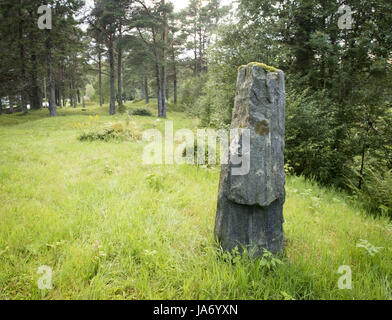 8 août 2017 - Afjord, Nord-trondelag (Norvège) - Le Dragsseidet cemetery est le plus grand exemple de l'ère viking en Norvège de sépulture intacte avec bautas ou pierres tombales. Composée à l'origine d'environ 60 à 40 sépultures restent intacts après compensation plus moderne pour la culture, du logement et de décomposition naturelle. Le cimetière de Dragseidaet est soupçonné d'avoir été utilisé comme un lieu de sépulture d'environ 500 avant J.-C. à environ 1000 AD. Les sites de sépulture sont composés de monticules simple en cercles et triangle de formes avec certains monolithes en pierre d''ou bautas dans une zone d'environ un quart d'acre ou 5000 mètres carrés. St Banque D'Images