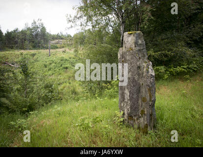 8 août 2017 - Afjord, Nord-trondelag (Norvège) - Le Dragsseidet cemetery est le plus grand exemple de l'ère viking en Norvège de sépulture intacte avec bautas ou pierres tombales. Composée à l'origine d'environ 60 à 40 sépultures restent intacts après compensation plus moderne pour la culture, du logement et de décomposition naturelle. Le cimetière de Dragseidaet est soupçonné d'avoir été utilisé comme un lieu de sépulture d'environ 500 avant J.-C. à environ 1000 AD. Les sites de sépulture sont composés de monticules simple en cercles et triangle de formes avec certains monolithes en pierre d''ou bautas dans une zone d'environ un quart d'acre ou 5000 mètres carrés. St Banque D'Images