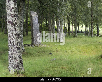 8 août 2017 - Afjord, Nord-trondelag (Norvège) - Le Dragsseidet cemetery est le plus grand exemple de l'ère viking en Norvège de sépulture intacte avec bautas ou pierres tombales. Composée à l'origine d'environ 60 à 40 sépultures restent intacts après compensation plus moderne pour la culture, du logement et de décomposition naturelle. Le cimetière de Dragseidaet est soupçonné d'avoir été utilisé comme un lieu de sépulture d'environ 500 avant J.-C. à environ 1000 AD. Les sites de sépulture sont composés de monticules simple en cercles et triangle de formes avec certains monolithes en pierre d''ou bautas dans une zone d'environ un quart d'acre ou 5000 mètres carrés. St Banque D'Images