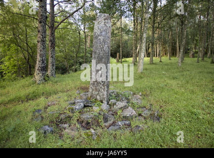 8 août 2017 - Afjord, Nord-trondelag (Norvège) - Le Dragsseidet cemetery est le plus grand exemple de l'ère viking en Norvège de sépulture intacte avec bautas ou pierres tombales. Composée à l'origine d'environ 60 à 40 sépultures restent intacts après compensation plus moderne pour la culture, du logement et de décomposition naturelle. Le cimetière de Dragseidaet est soupçonné d'avoir été utilisé comme un lieu de sépulture d'environ 500 avant J.-C. à environ 1000 AD. Les sites de sépulture sont composés de monticules simple en cercles et triangle de formes avec certains monolithes en pierre d''ou bautas dans une zone d'environ un quart d'acre ou 5000 mètres carrés. St Banque D'Images