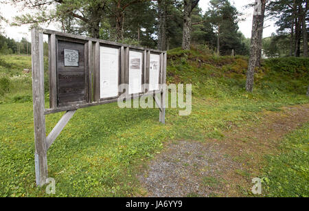 8 août 2017 - Afjord, Nord-trondelag (Norvège) - Le Dragsseidet cemetery est le plus grand exemple de l'ère viking en Norvège de sépulture intacte avec bautas ou pierres tombales. Composée à l'origine d'environ 60 à 40 sépultures restent intacts après compensation plus moderne pour la culture, du logement et de décomposition naturelle. Le cimetière de Dragseidaet est soupçonné d'avoir été utilisé comme un lieu de sépulture d'environ 500 avant J.-C. à environ 1000 AD. Les sites de sépulture sont composés de monticules simple en cercles et triangle de formes avec certains monolithes en pierre d''ou bautas dans une zone d'environ un quart d'acre ou 5000 mètres carrés. St Banque D'Images