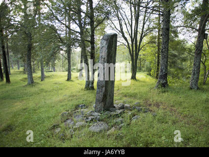 8 août 2017 - Afjord, Nord-trondelag (Norvège) - Le Dragsseidet cemetery est le plus grand exemple de l'ère viking en Norvège de sépulture intacte avec bautas ou pierres tombales. Composée à l'origine d'environ 60 à 40 sépultures restent intacts après compensation plus moderne pour la culture, du logement et de décomposition naturelle. Le cimetière de Dragseidaet est soupçonné d'avoir été utilisé comme un lieu de sépulture d'environ 500 avant J.-C. à environ 1000 AD. Les sites de sépulture sont composés de monticules simple en cercles et triangle de formes avec certains monolithes en pierre d''ou bautas dans une zone d'environ un quart d'acre ou 5000 mètres carrés. St Banque D'Images