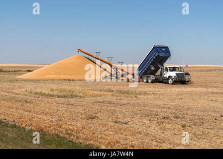 Grain de camion Banque D'Images