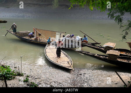 La pêche traditionnelle à l'aide de la loutre loutre formés, dans la rivière de Chitra Narail district. Cette méthode a été pratiquée depuis le 6e siècle dans le var Banque D'Images