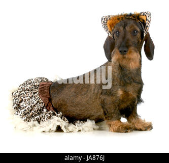 Profil, jupe, de la vie, existent, existence, vie, vie, vivre, isolé, libre, Banque D'Images