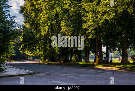 Linden alley plus longue en Europe sur l'Uzh river embankment Banque D'Images