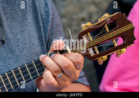 Petite guitare à quatre cordes appelé cavaquinho au Brésil et traditionnellement utilisé dans les styles de samba et chorinho Banque D'Images