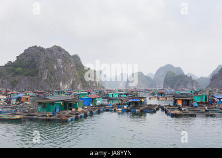 Village de pêcheurs flottant, Ben Beo port, ile de Cat Ba, au Vietnam Banque D'Images