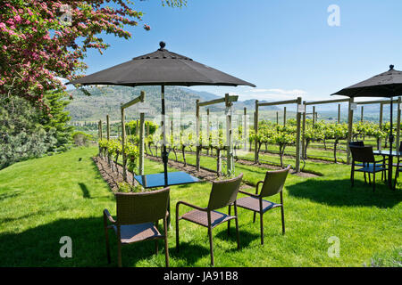 Tables et chaises de Patio à la winery Tinhorn Creek à Oliver, BC. Le Canada. Région de l'Okanagan. Banque D'Images