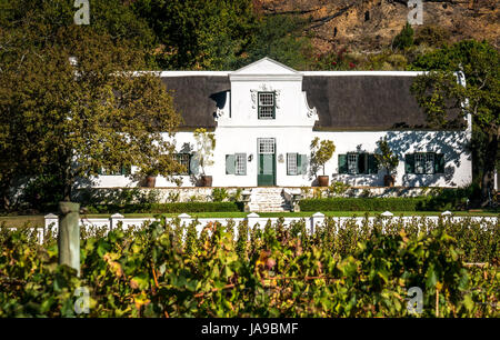 Vignoble traditionnel de style néerlandais du Cap blanc, avec vignoble en premier plan , Franschhoek, Western Cape, Afrique du Sud Banque D'Images