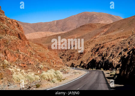 À vide, grâce à sec, cactus monté paysage dans la partie nord de l'Argentine Banque D'Images
