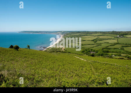 Avis de Golden Cap à retour à Stonebarrow Hill et le littoral de la baie de Lyme à Charmouth sur un début de l'été journée de mai Banque D'Images