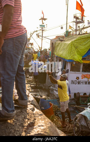 Un pêcheur jette un panier de poissons jusqu'au quai de son bateau de pêche au Sassoon docks, Mumbai, Inde. Banque D'Images