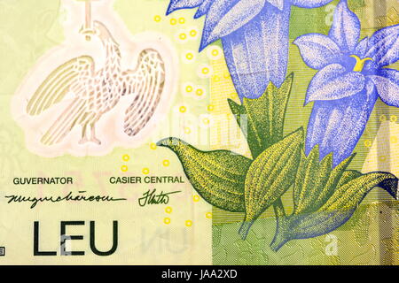 Close up monnaie roumaine remarque, billets, LEI ou LEU, Roumanie Banque D'Images