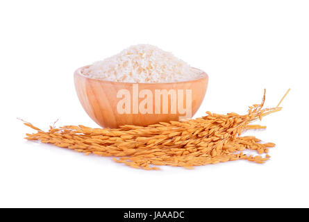 Les plants de riz avec du riz blanc et de riz non usiné isolated on white Banque D'Images