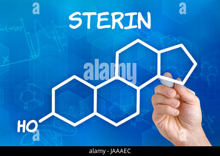 Avec un crayon à la main attire de stérol formule de structure chimique Banque D'Images