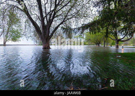 Entouré d'arbres partiellement submergé par les eaux de crue à un parc inondé causées par des niveaux d'eau élevés à Oakville, Ontario, Canada. Banque D'Images